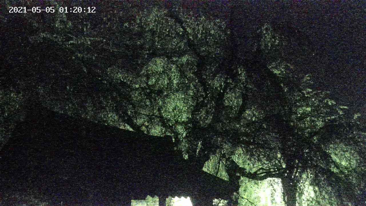 area1-20210505012013.jpg