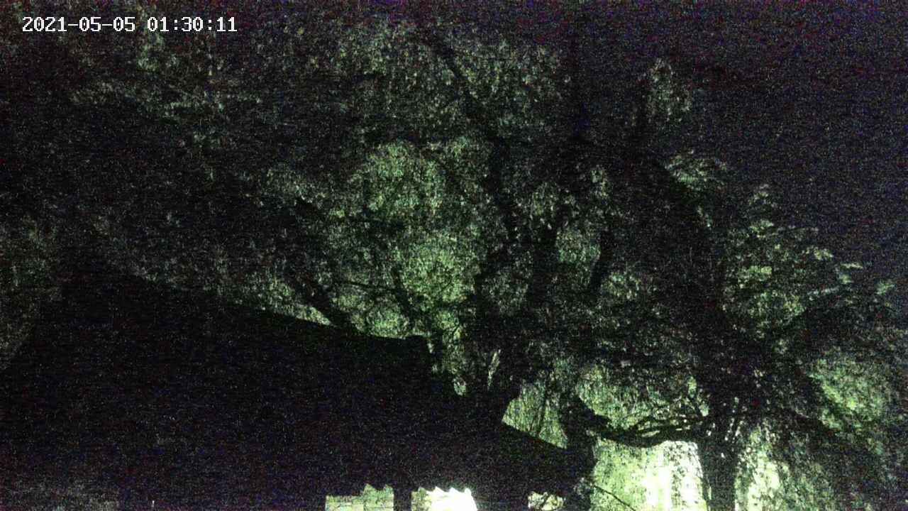 area1-20210505013013.jpg