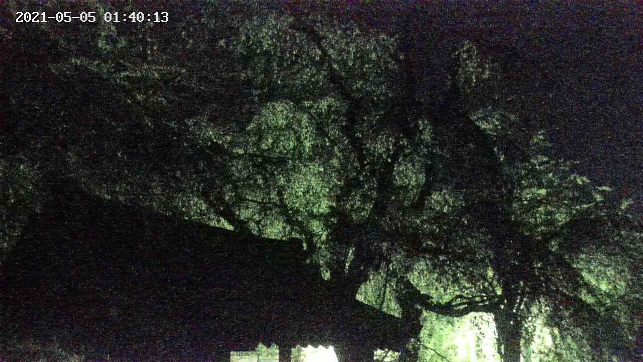 area1-20210505014014.jpg