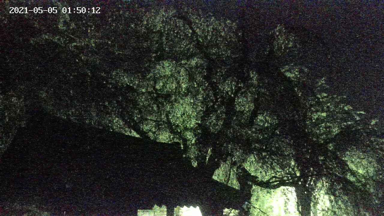 area1-20210505015013.jpg