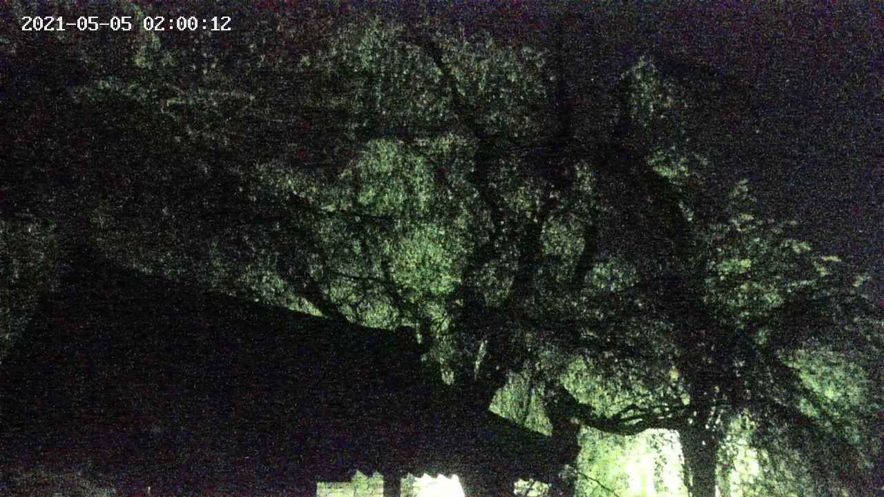 area1-20210505020013.jpg