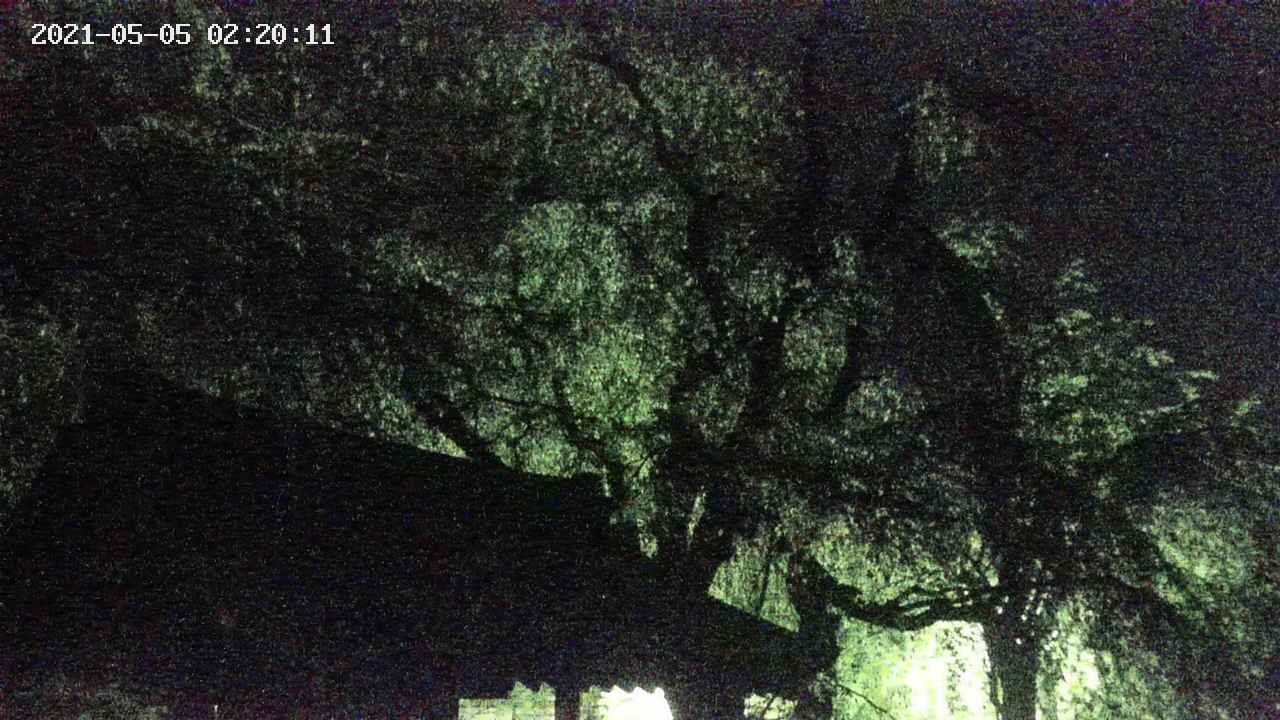 area1-20210505022012.jpg
