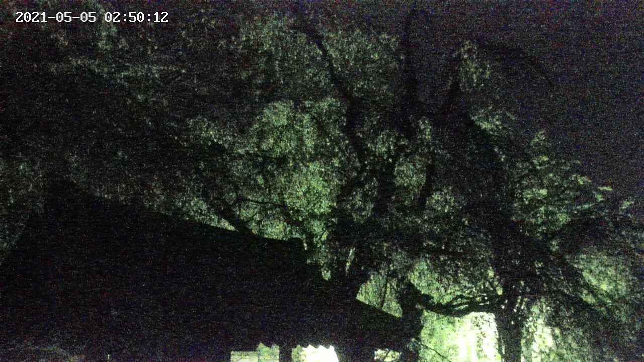 area1-20210505025013.jpg