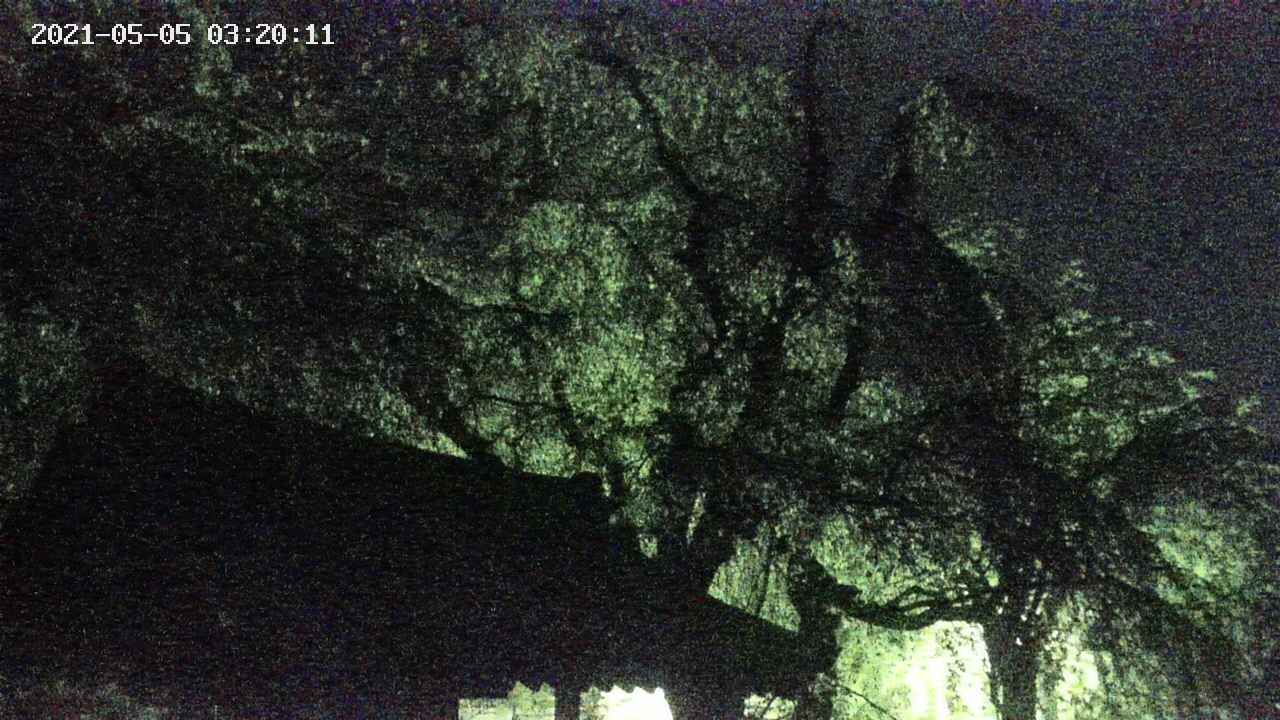 area1-20210505032012.jpg