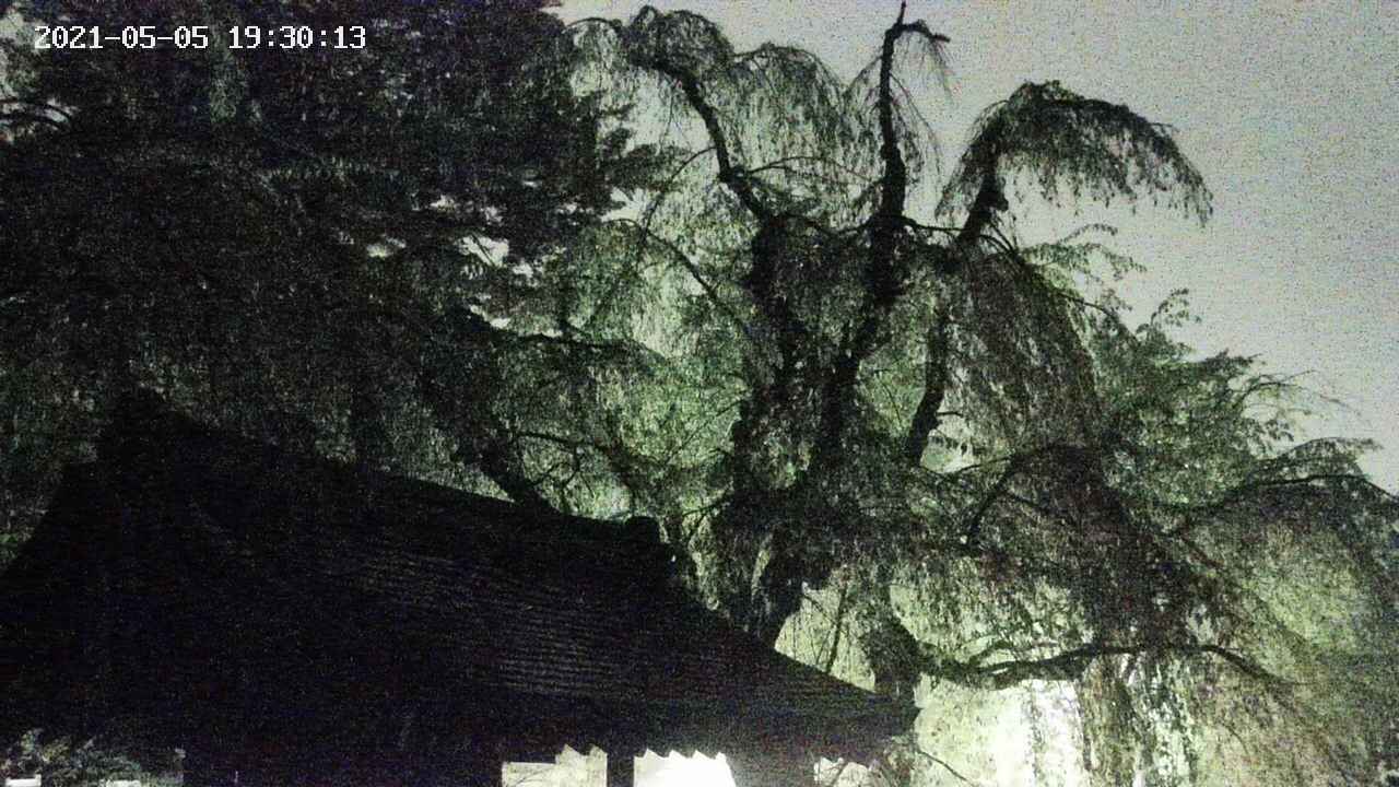 area1-20210505193013.jpg