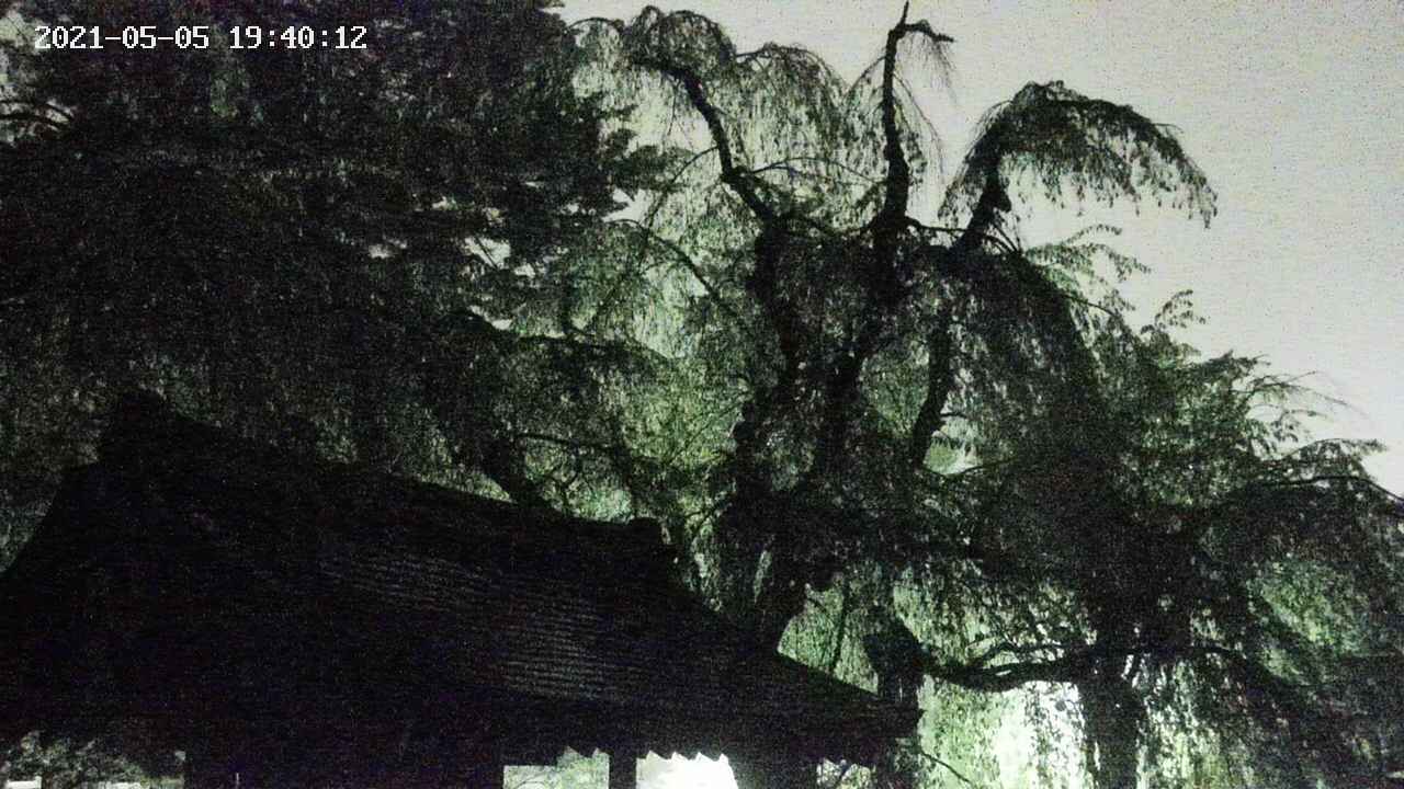 area1-20210505194013.jpg