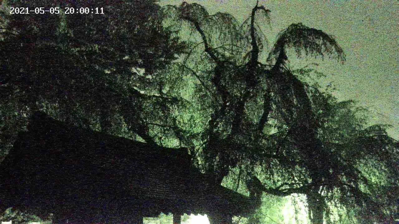 area1-20210505200012.jpg