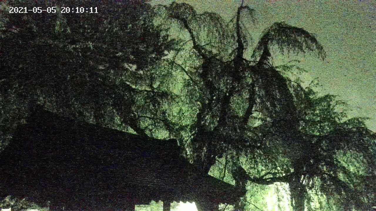 area1-20210505201012.jpg