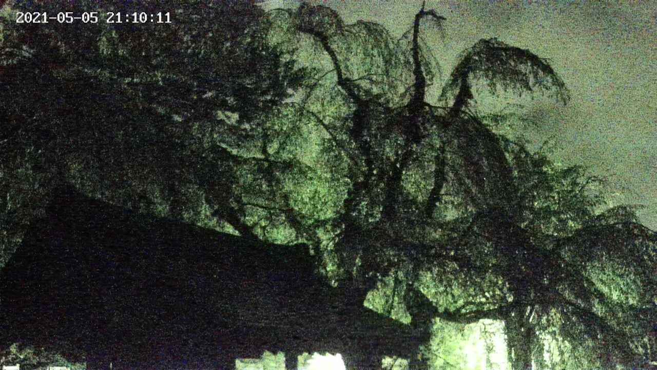 area1-20210505211012.jpg