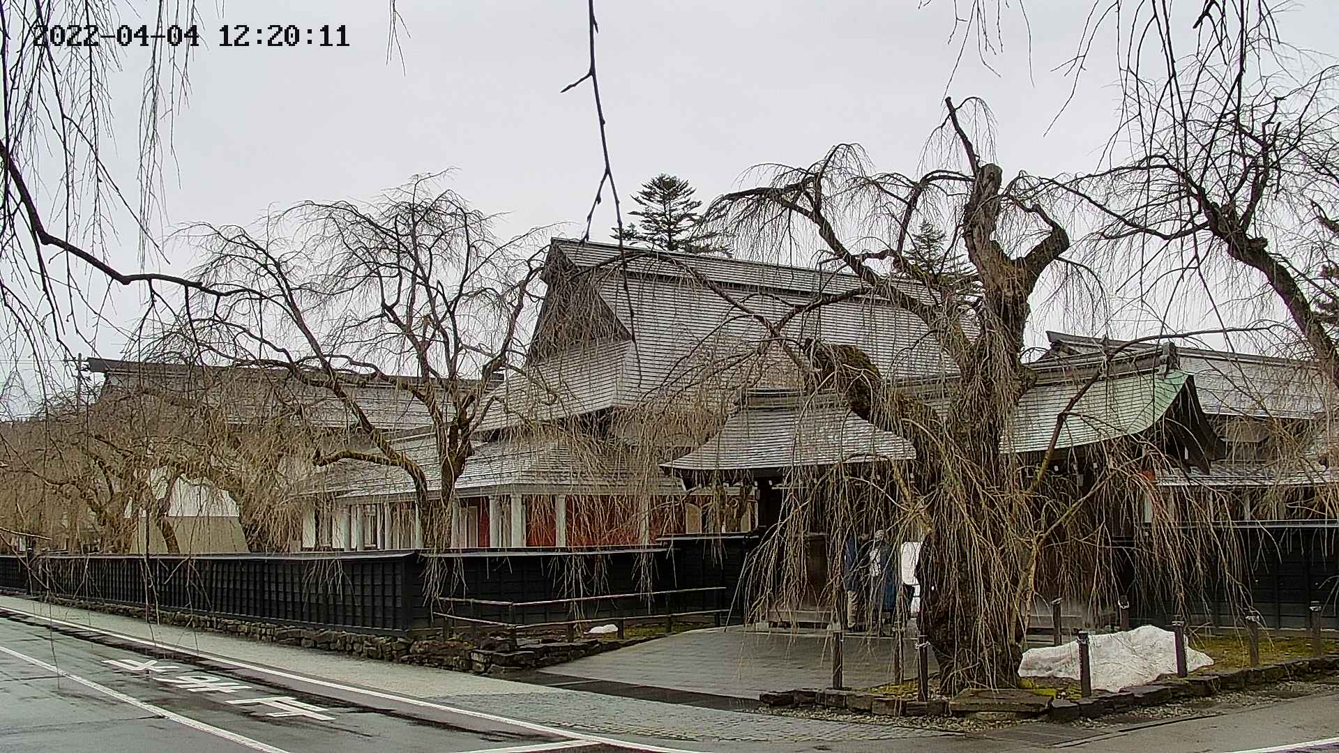 area1-20220404122013.jpg