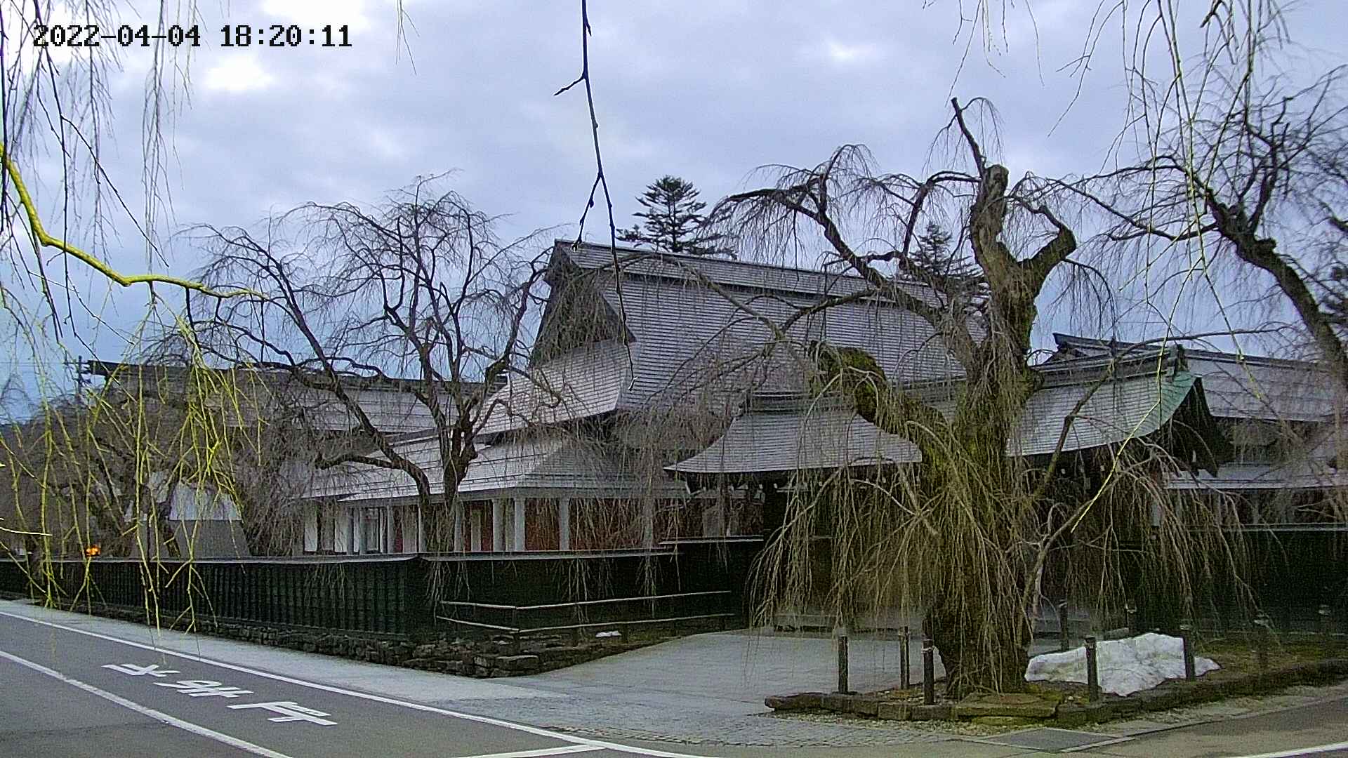 area1-20220404182013.jpg