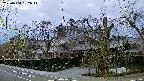 area1-20220404182013.jpg