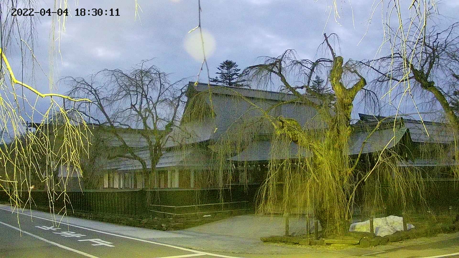 area1-20220404183013.jpg