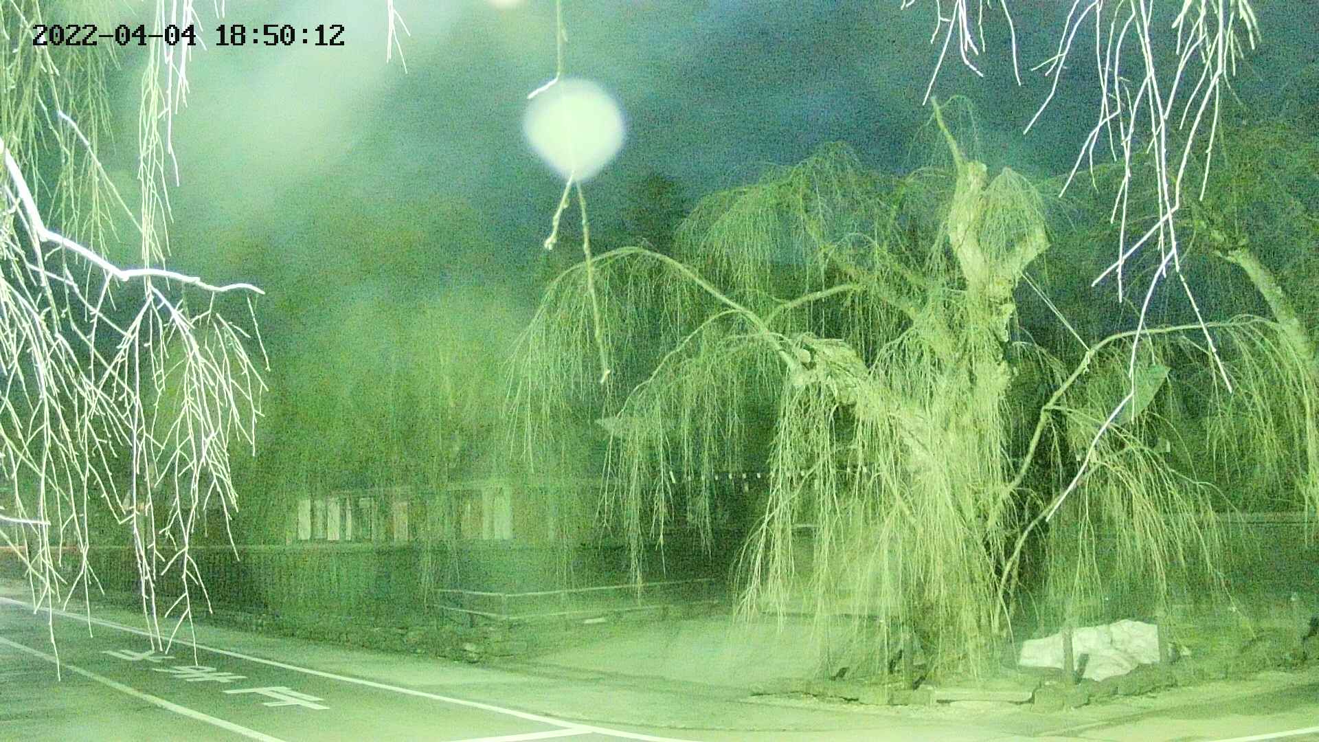 area1-20220404185014.jpg