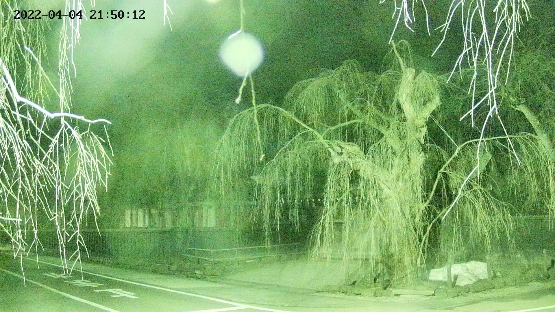 area1-20220404215014.jpg