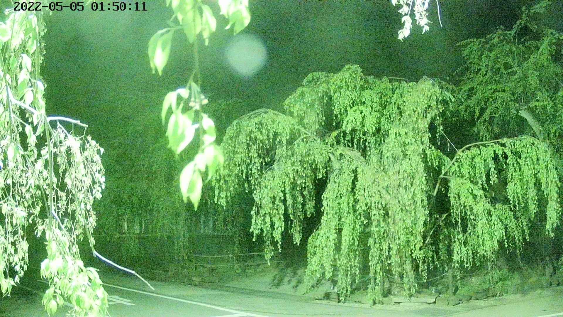 area1-20220505015013.jpg