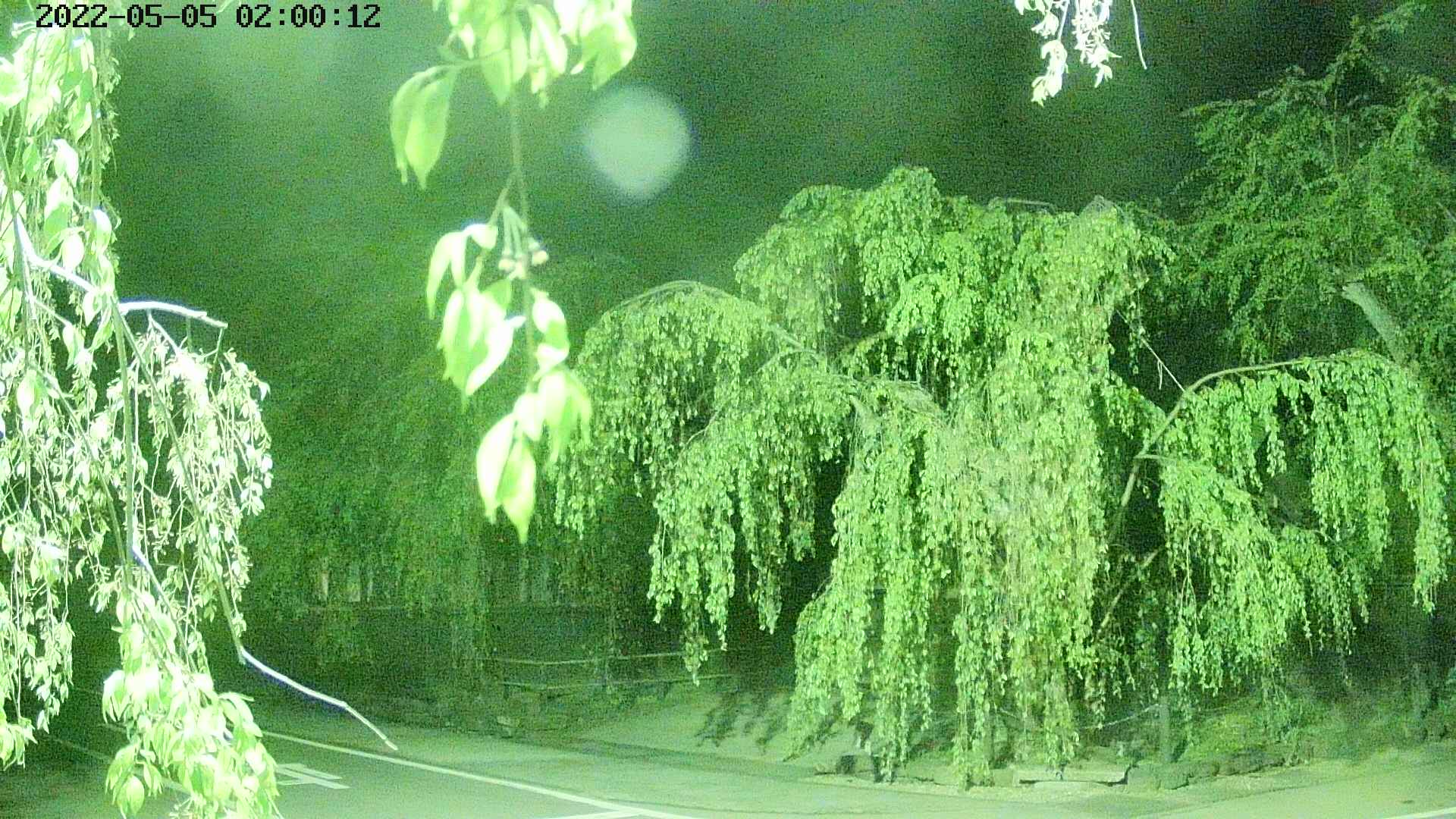 area1-20220505020014.jpg