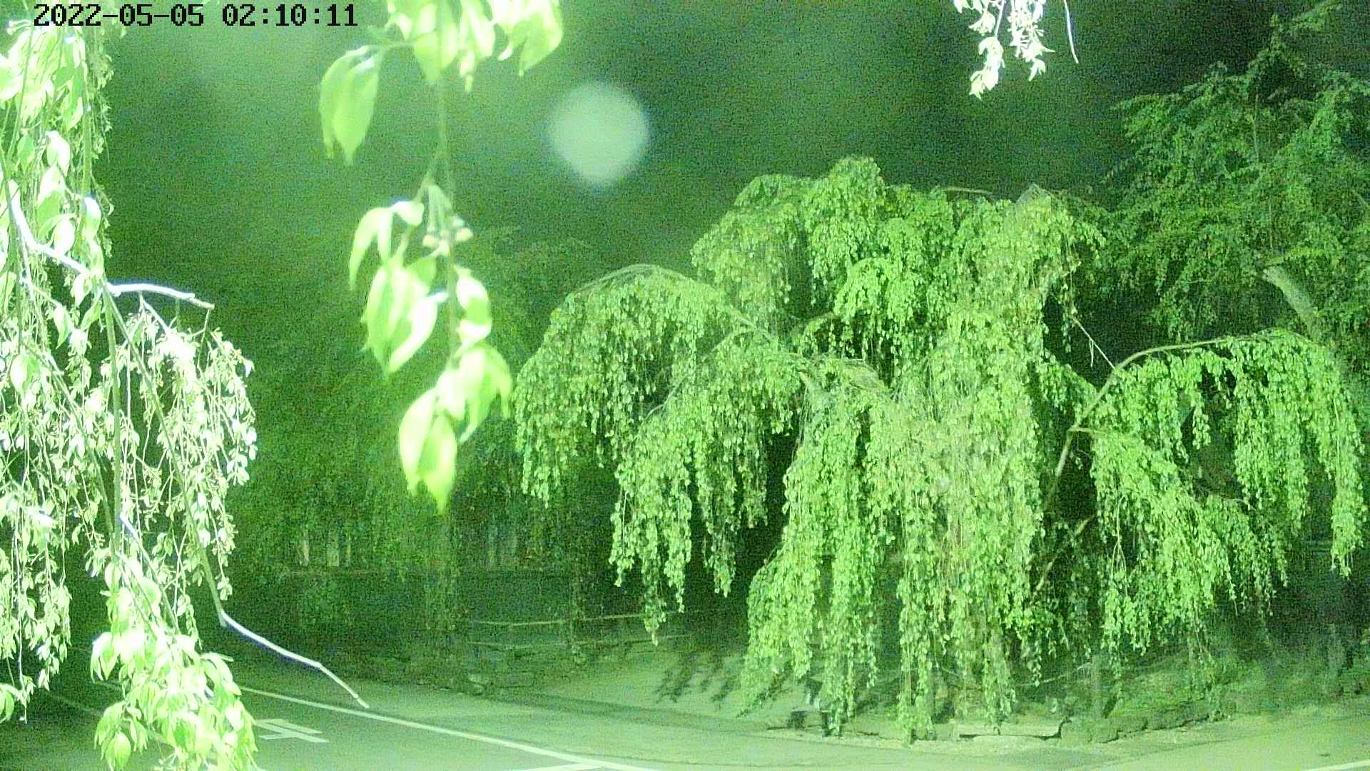 area1-20220505021013.jpg