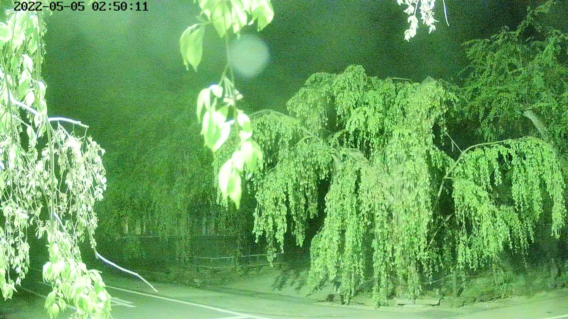 area1-20220505025013.jpg