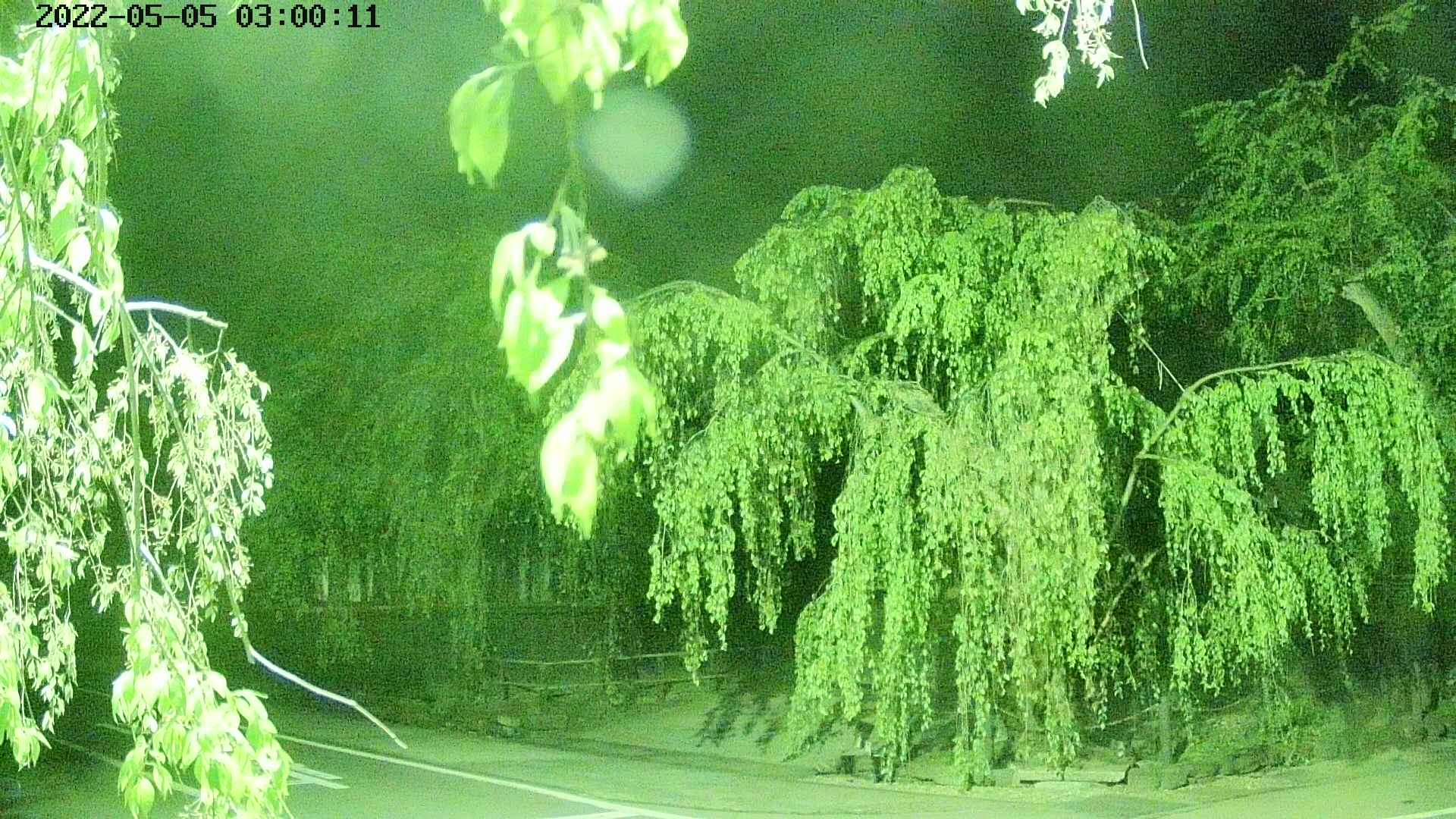 area1-20220505030013.jpg