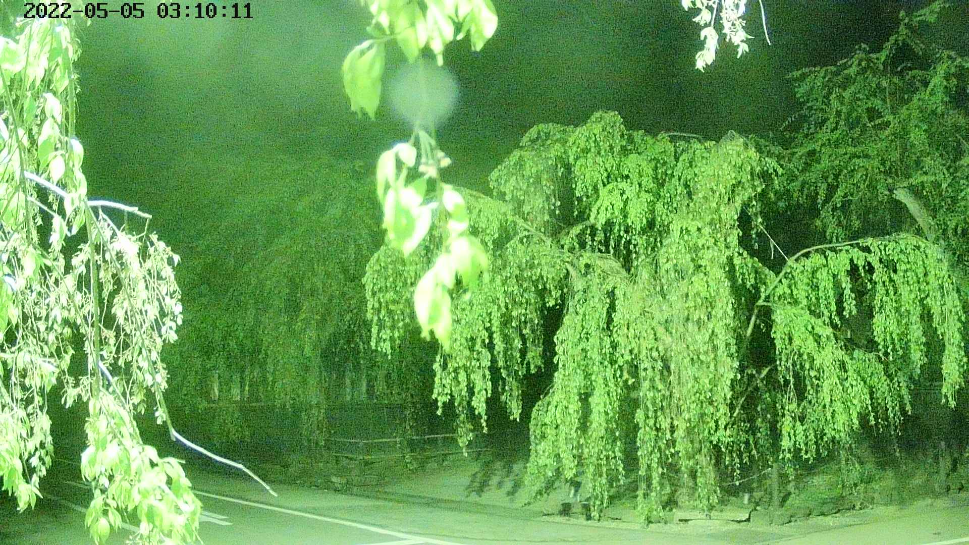 area1-20220505031013.jpg