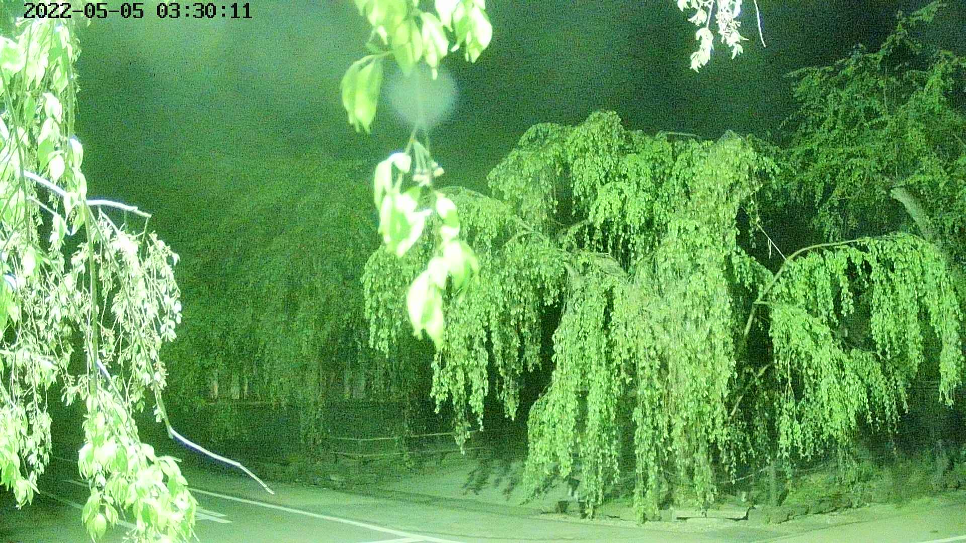 area1-20220505033013.jpg