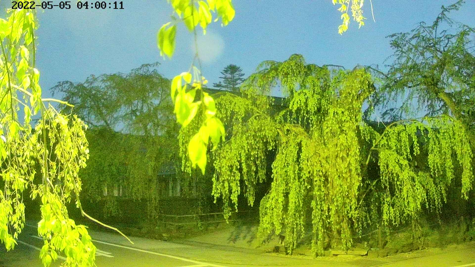 area1-20220505040014.jpg
