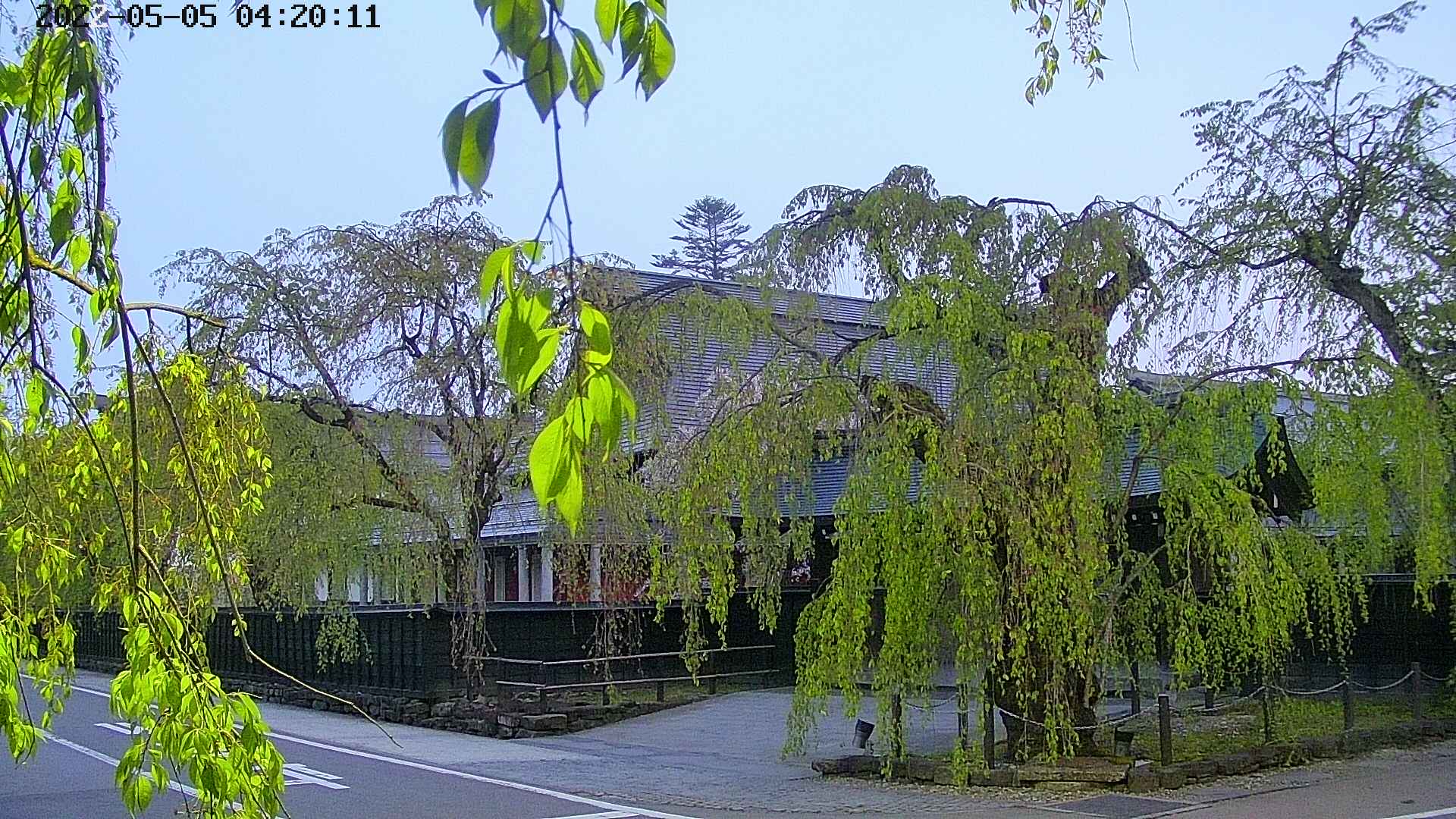 area1-20220505042013.jpg