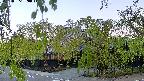 area1-20220505050013.jpg