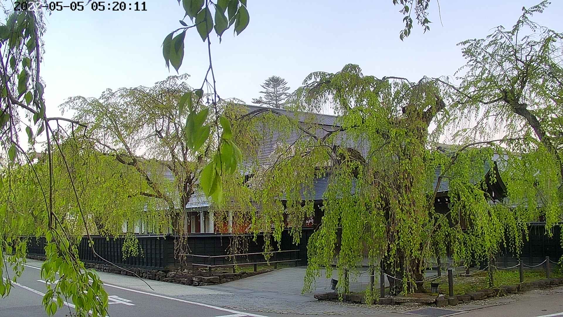 area1-20220505052013.jpg
