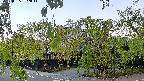 area1-20220505052013.jpg