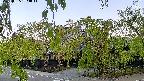area1-20220505054013.jpg
