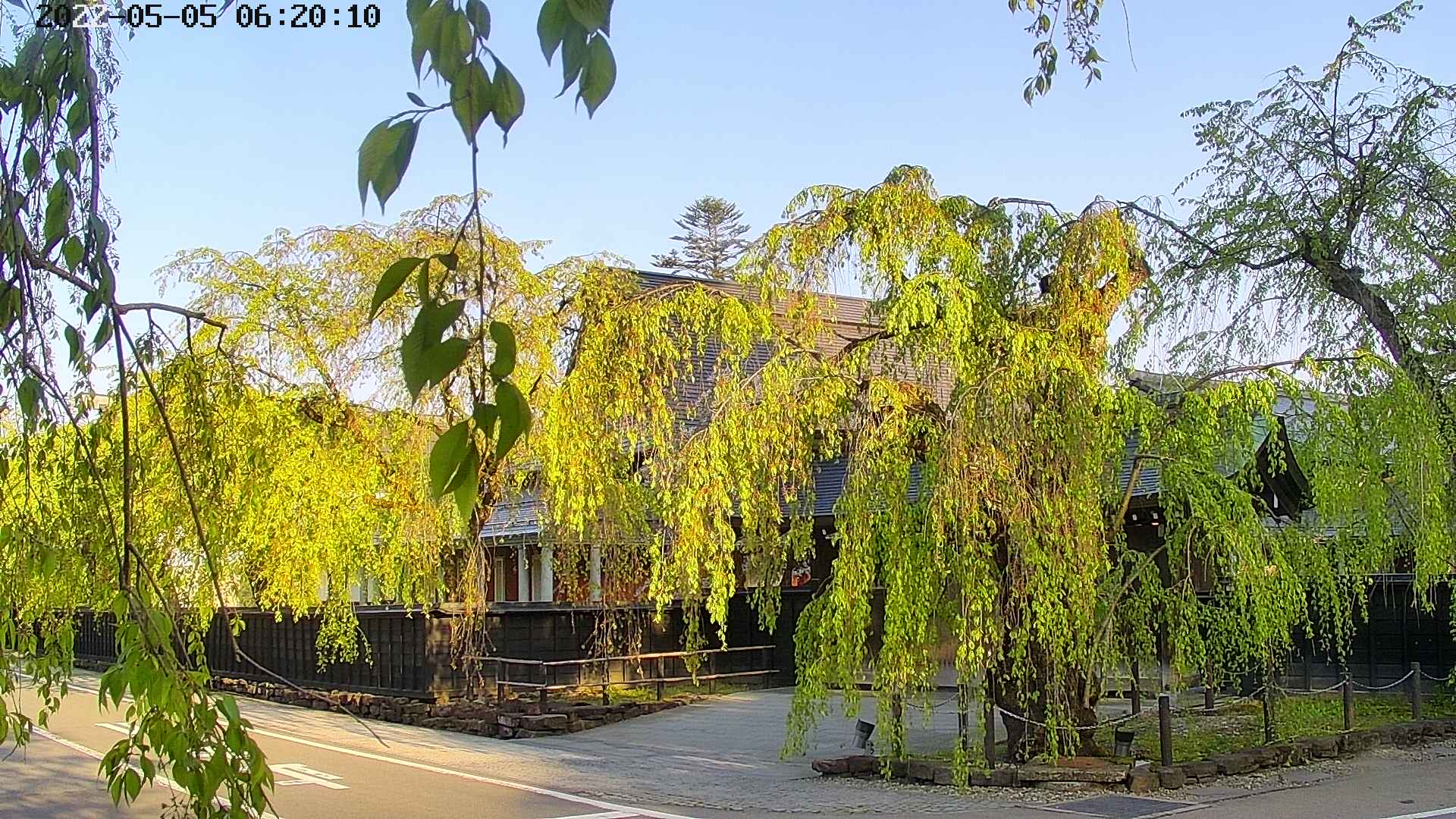 area1-20220505062013.jpg