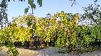 area1-20220505062013.jpg