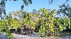 area1-20220505065013.jpg