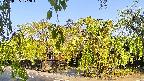 area1-20220505072012.jpg