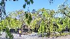 area1-20220505090013.jpg