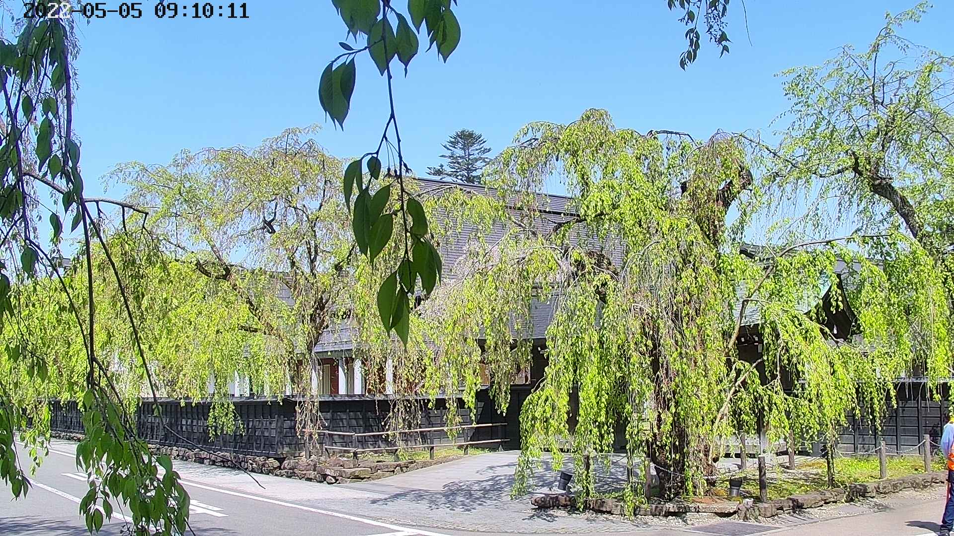 area1-20220505091013.jpg
