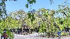 area1-20220505102014.jpg
