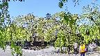 area1-20220505105013.jpg