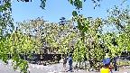 area1-20220505110015.jpg