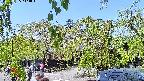 area1-20220505114013.jpg