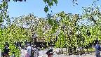 area1-20220505120014.jpg