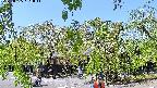 area1-20220505121013.jpg