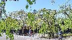 area1-20220505123013.jpg