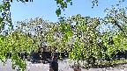 area1-20220505124013.jpg