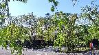 area1-20220505145013.jpg