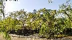 area1-20220505152013.jpg