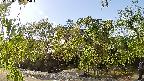 area1-20220505155014.jpg