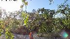 area1-20220505165013.jpg